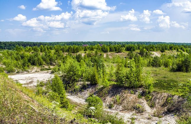 Да будет свет! В Кирове включили подсветку и запустили таймер до 650-летия